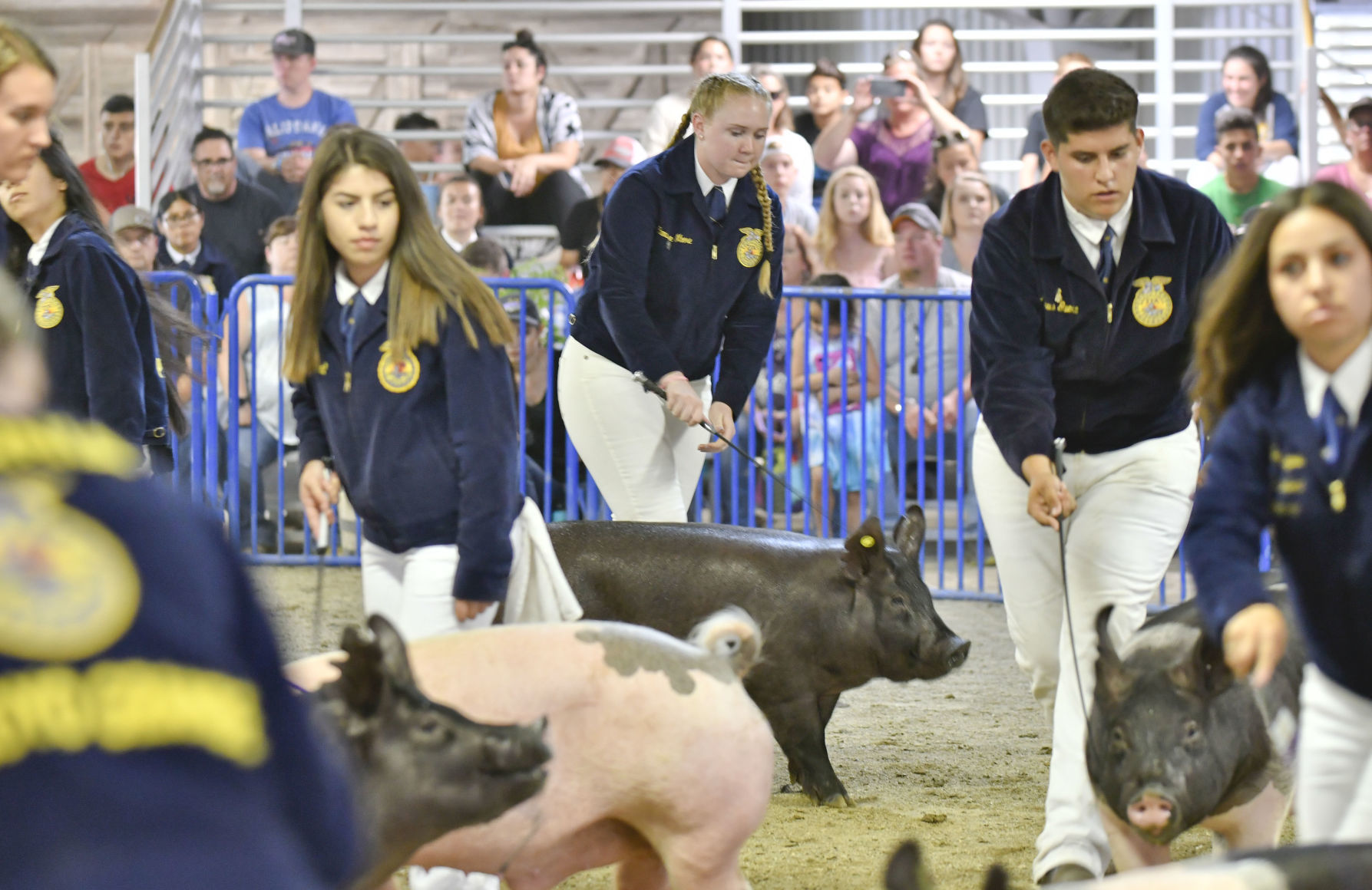 071018 Fair Tuesday 07.jpg